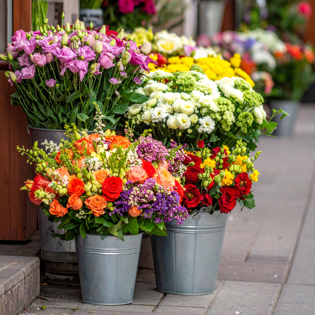 5% EN FLORISTERIA HESP